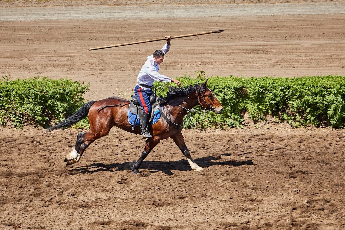 a man riding on the back of a brown horse